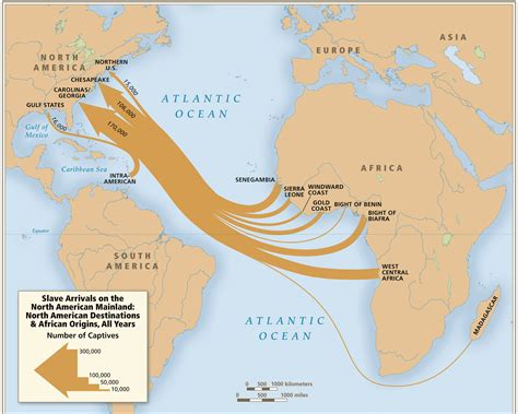 The Origins of Slavery | AP US History Study Guide from The Gilder ...