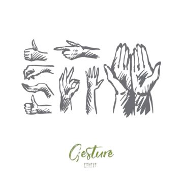 Human Hand Isolated, Isolated, Gesture, White PNG Transparent Image and ...