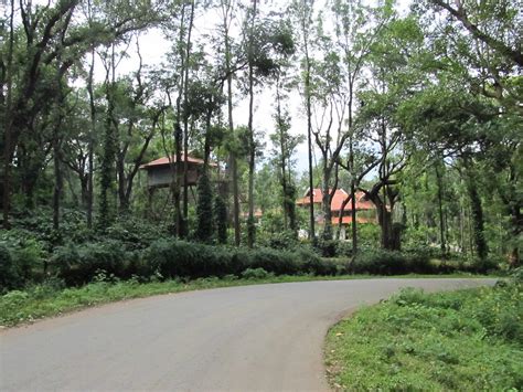 Chikmagalur Coffee Plantation Stay - Homestay in Chikmagalur | Resorts in Chikmagalur | Coffee ...