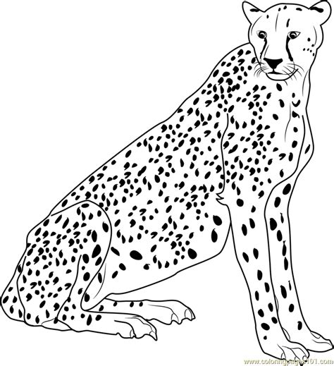 Cheetah Printables