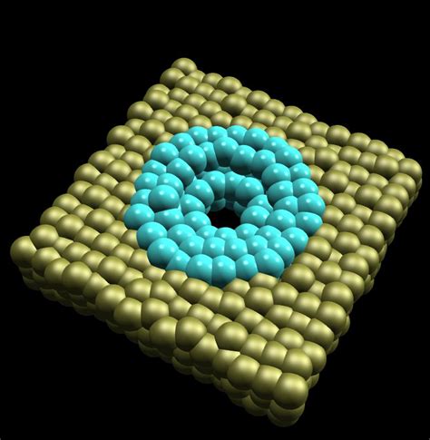 Water in hydrophobic nanopores