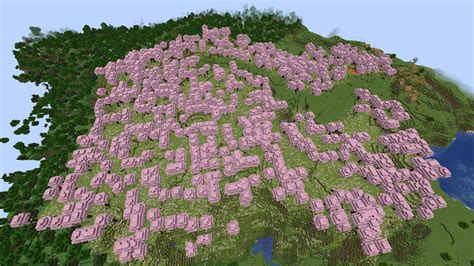Cherry Blossom Seed Minecraft Biome - Jyoti Lindsey