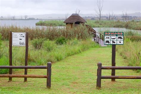 Rhino And Lion Park Guided Tour From Johannesburg, THURS & SUNDAYS 2022 ...