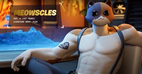 The Buff Cat From 'Fortnite' Explained - Cirrkus News