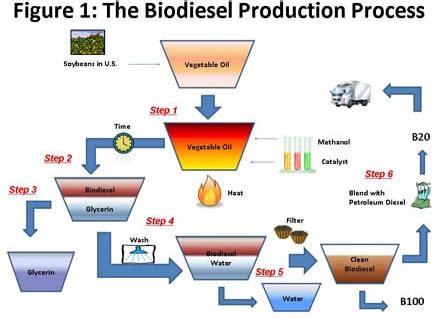 U.S. Gov’t Gives Tips to Making Biodiesel at Home | Energy.AgWired.com