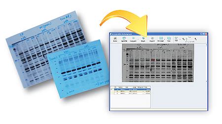 Microtek Scanner and Scanner Software Test