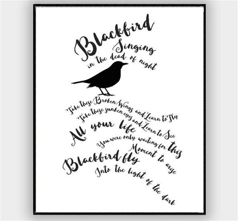 Blackbird - The Beatles Lyrics Poster – musicposters Music Lyrics Art, Beatles Lyrics, Beatles ...