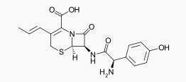 Cefprozil - wikidoc