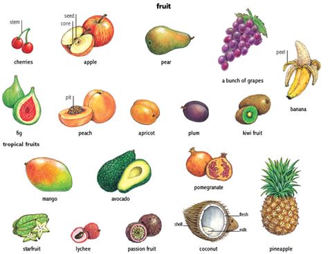 passion fruit noun - Definition, pictures, pronunciation and usage notes | Oxford Advanced ...