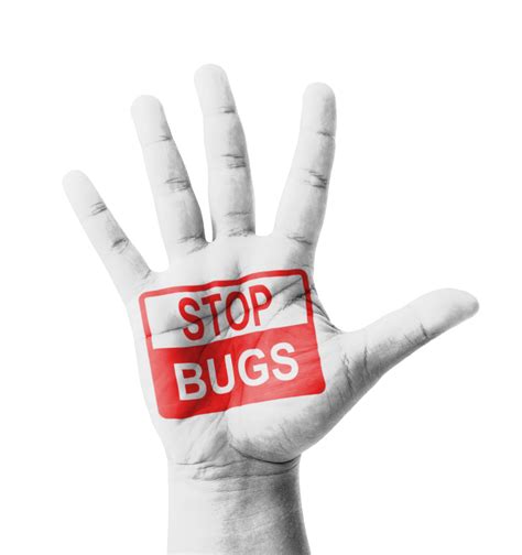 No Bugs Allowed- How To Keep Pests Away | Green Thumb Landscaping