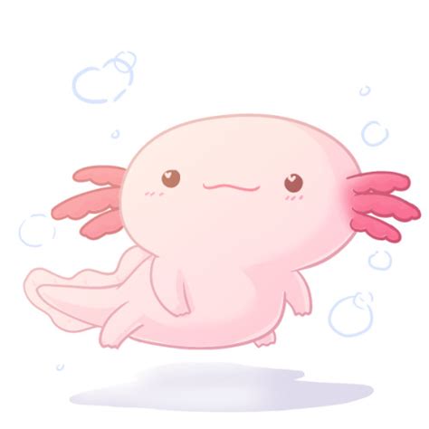 axolotl on Tumblr