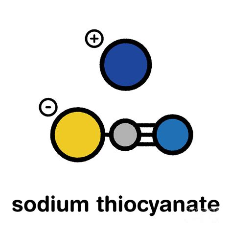 Sodium Thiocyanate Salt Chemical Structure Photograph by Molekuul/science Photo Library - Pixels