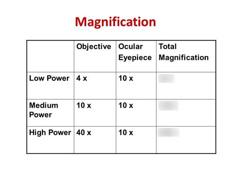 Total Magnification Diagram | Quizlet