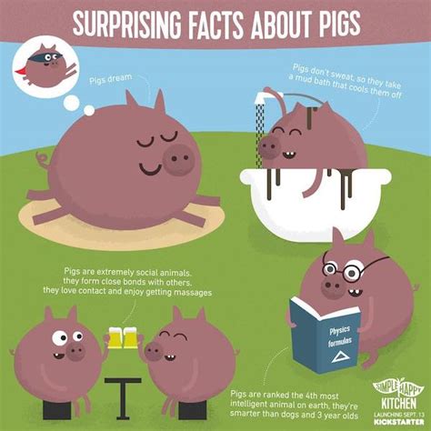 Surprising facts about pigs – Simple Happy Kitchen