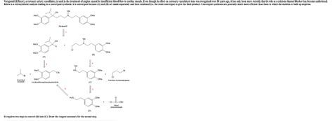 Solved The following three derivatives of succinimide are | Chegg.com