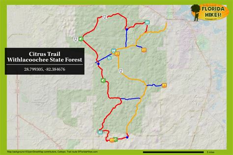 Citrus Hiking Trail | Withlacoochee State Forest – Florida Hikes