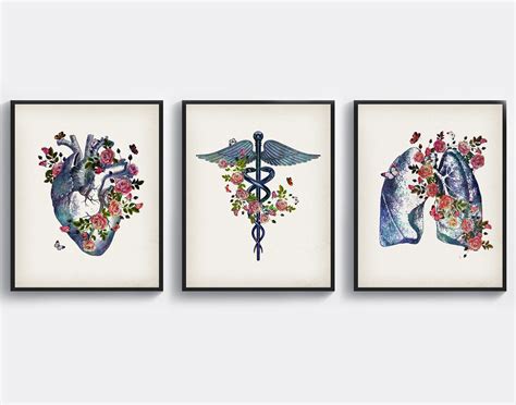 3 Vintage Medical Art Caduceus and Roses Art Anatomical Heart - Etsy UK