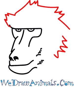 How to Draw a Baboon Head