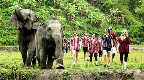 Phuket Elephant Jungle Sanctuary - Mimi on tour