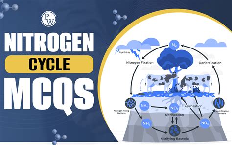 Nitrogen Cycle MCQ For NEET Biology With Answers