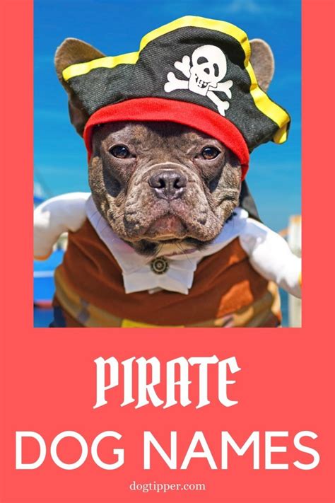 Pirate Dog Names for Your New Matey