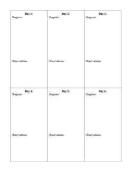 Bacteria Growth Lab by Alyssa Apryasz | Teachers Pay Teachers