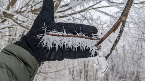 Huge Rime Ice Crystals : r/natureismetal