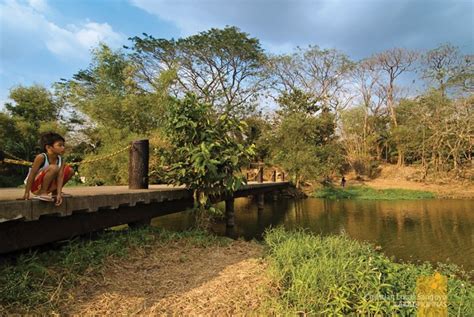 METRO MANILA | Quezon City’s Ninoy Aquino Parks & Wildlife - Lakad ...