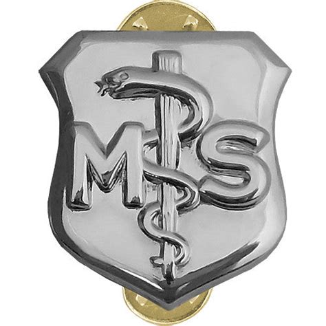 Air Force Medical Service Corps Badge | USAMM