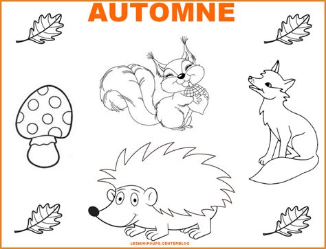 Frais Animaux Automne Coloriage