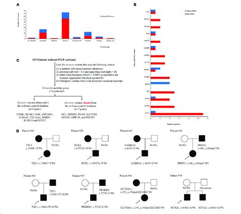 | Gene variants analysis. (A) The number of different variant types ...