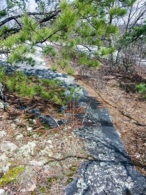 Stone Mountain Trail on HikeWNC