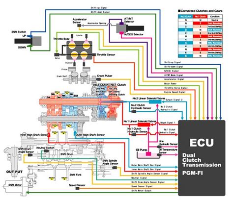 [19+] Honda Pioneer 1000 Wiring Diagram, Wiring Diagram Honda Gl Max