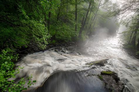 water, outdoors, nature, river, trees, HD Wallpaper | Rare Gallery