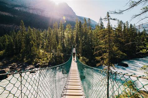 Hiking the Berg Lake Trail - Vancouver Landscape and Adventure ...