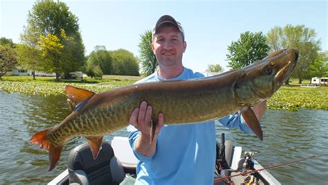 Photo Archive | Webster Lake Guide Service