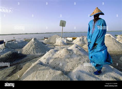 Senegal, Dakar Region, the Pink Lake, drying salt Stock Photo - Alamy