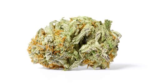 Sugar Cookies Strain | Buy Sugar Cookies Weed Online At BudLyft