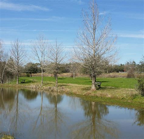 Matagorda County Birding Nature Center (Bay City) - Lohnt es sich?