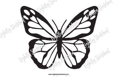 Beautiful Butterfly Templates | Lightly Sketched