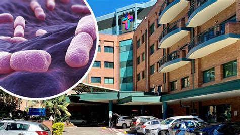 Likely cause of listeria outbreak at three Qld hospitals revealed ...