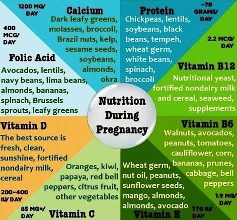 Nutrition During Pregnancy Images Image - Graph Diagram