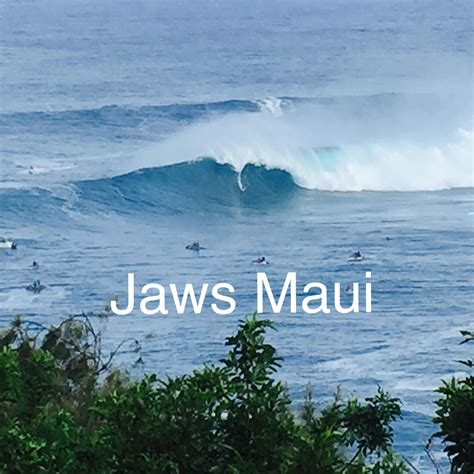 Jaws Maui big wave surfing on Maui's Northshore. #jawsmaui | Maui, Big wave surfing, Maui real ...