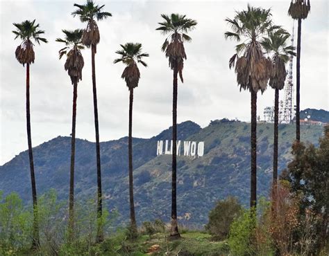 Hollywood Hills Wallpaper - WallpaperSafari