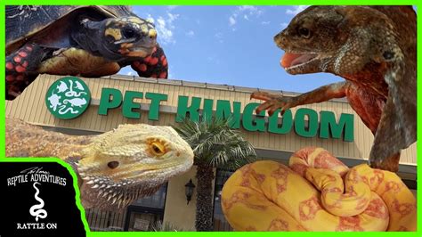 TOURING THE BIGGEST REPTILE SHOP ON THE WEST COAST! (Pet Kingdom, San ...