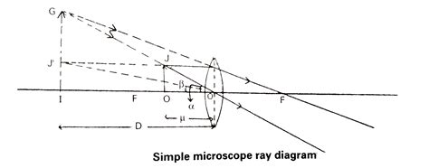 [Telugu] Draw neat lebelled ray diagram of simple microscope.