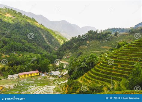 The rice terraces in Sapa stock photo. Image of agriculture - 168179510