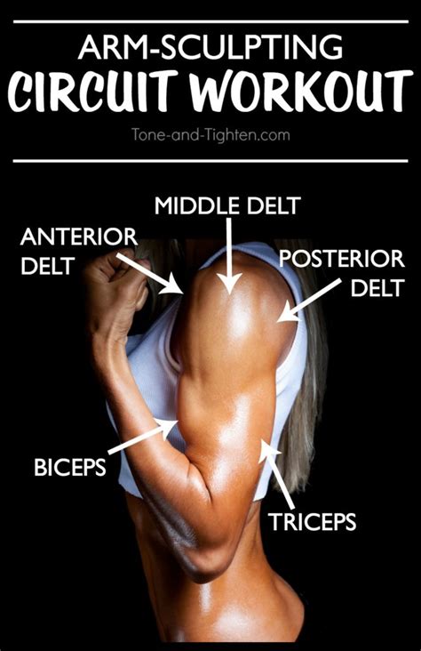 6 Great Moves For Arm Definition | #site_title