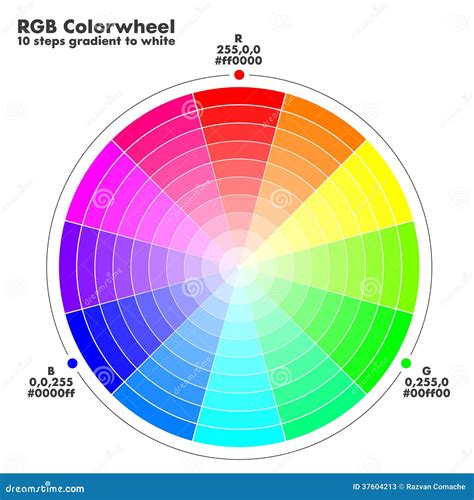 Color Wheel With Gradients Cartoon Vector | CartoonDealer.com #37604213