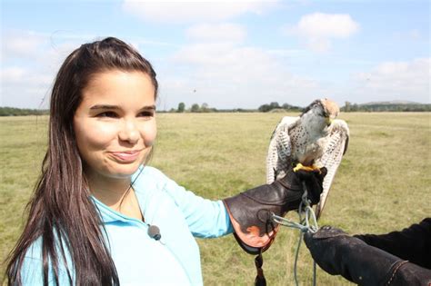 Anna und die wilden Tiere 04: Der Falkner und seine Greifvögel ...